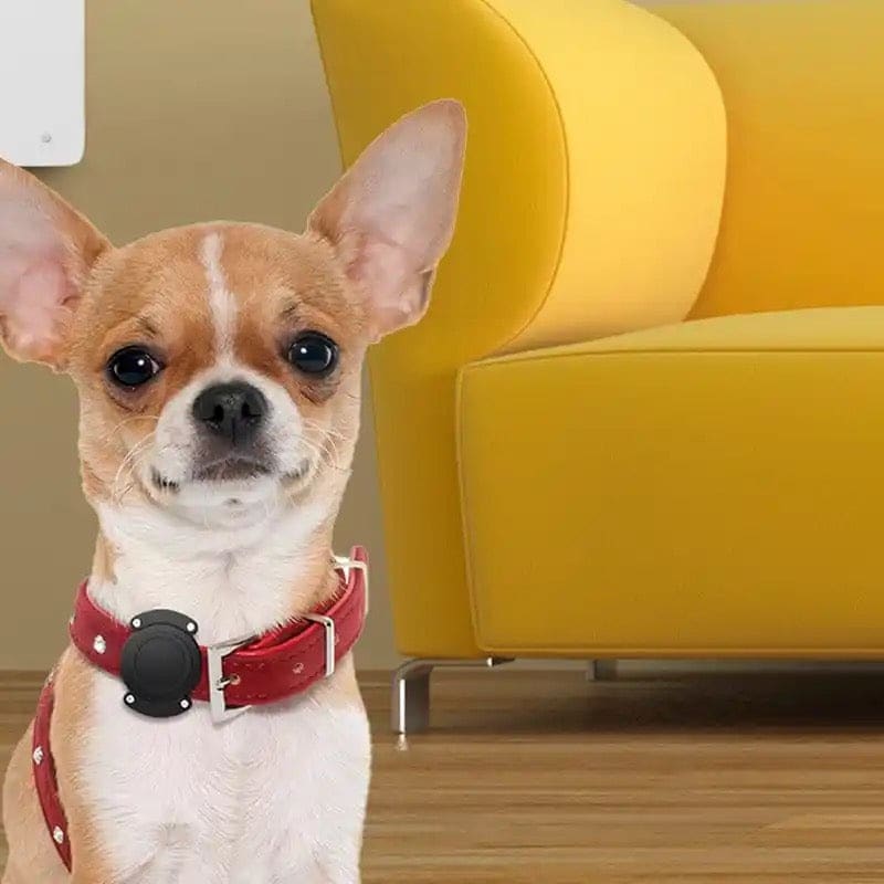 Waterproof Apple Air Tag Holder for Dogs
