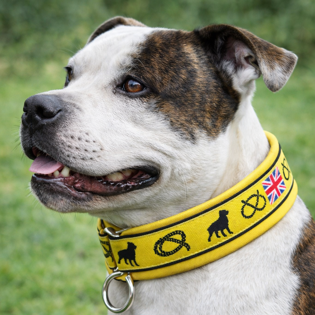 staffordshire bull terrier wearing a yellow collar with black designs and a British flag on a grassy background